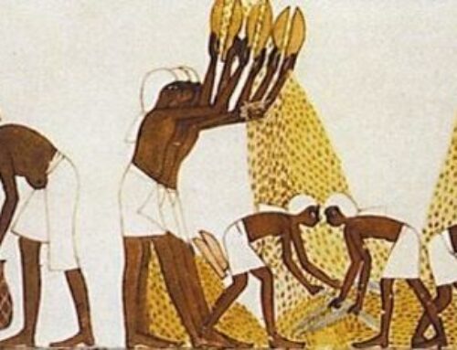 Curso de Panificación I: Historia de los cereales y el pan